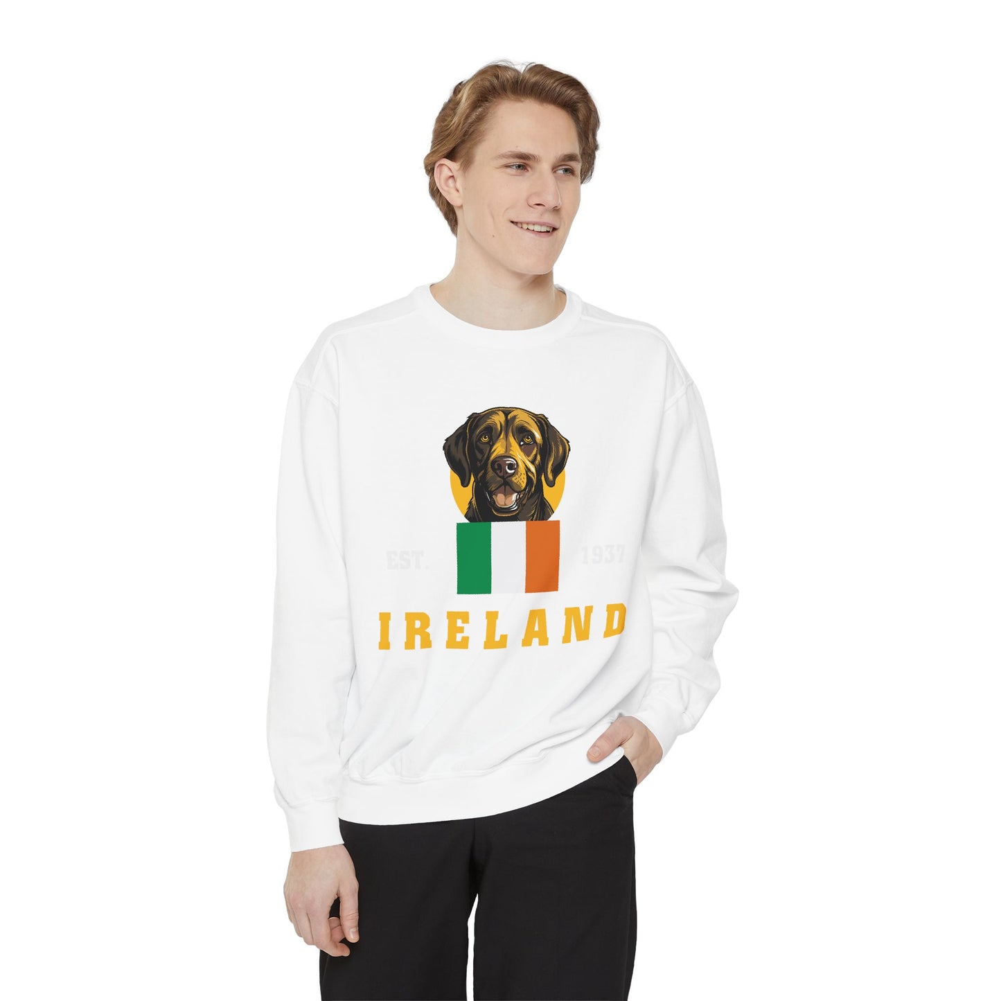 Unisex Irish Flag and Dog Print Sweatshirt - Classic style, perfect for pet lovers